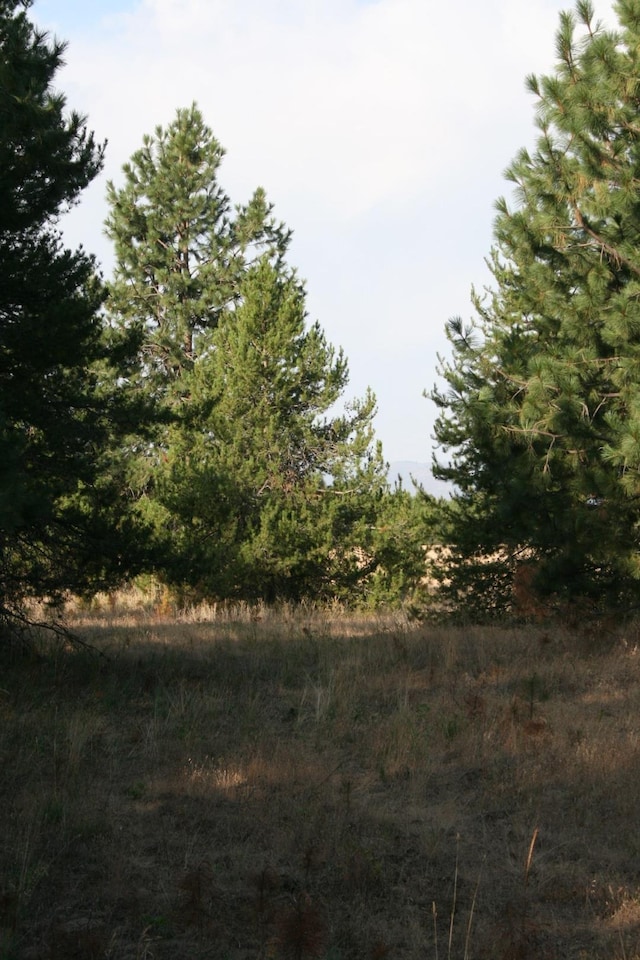 404XX N Sherman Rd, Deer Park, WA 99006 - photo 10