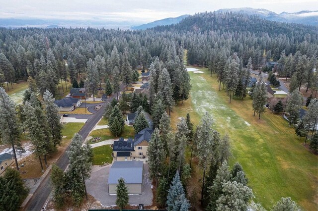 bird's eye view featuring a mountain view
