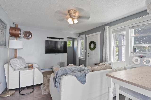 living room with hardwood / wood-style flooring, a healthy amount of sunlight, and a textured ceiling