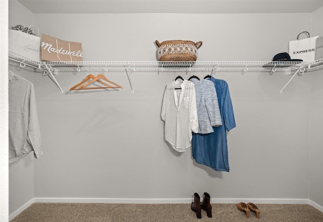 spacious closet featuring carpet floors