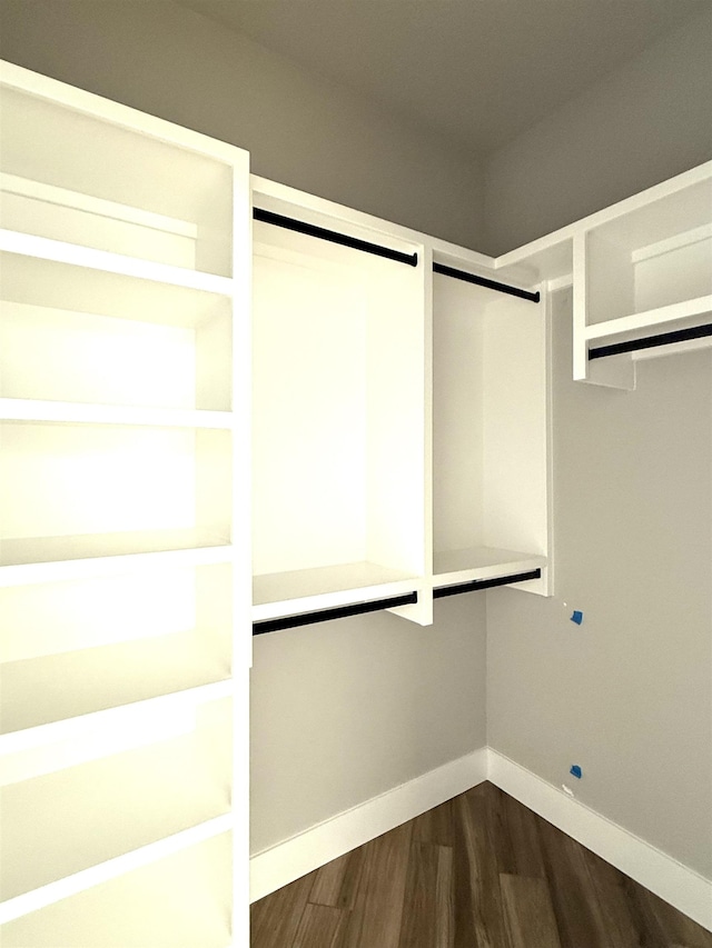spacious closet featuring dark wood-style flooring