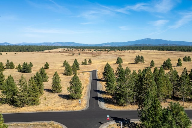 Listing photo 3 for NKA E Slaton Rd Lot 37, Deer Park WA 99006