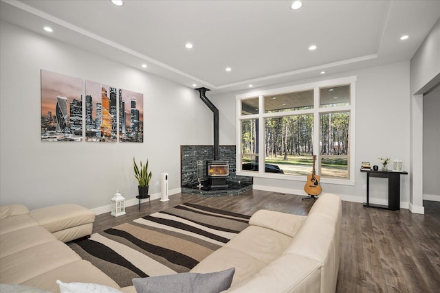 living room featuring hardwood / wood-style flooring, a raised ceiling, and a wood stove