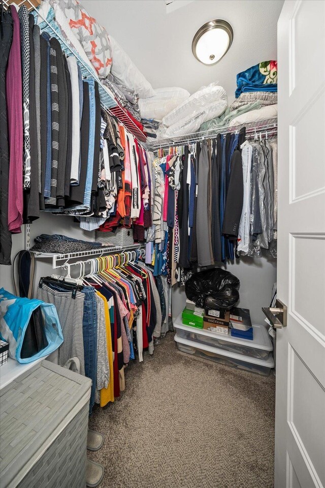 walk in closet with carpet floors