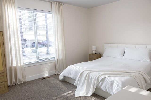 bedroom with multiple windows and carpet flooring