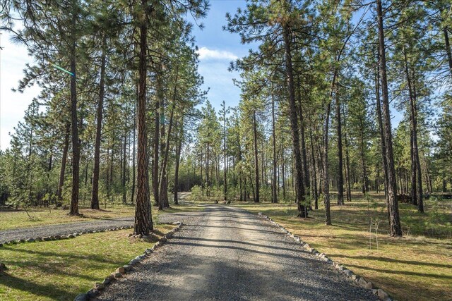 view of road