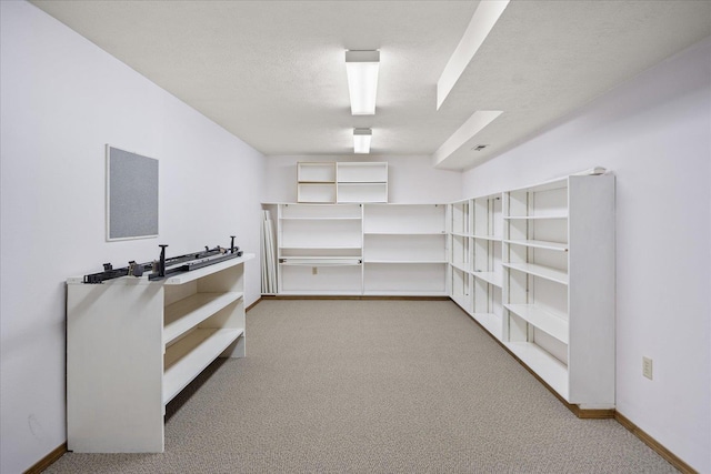 walk in closet featuring carpet floors