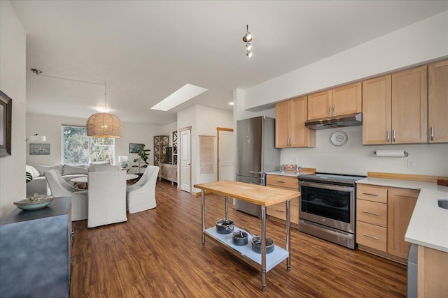 kitchen with dark hardwood / wood-style flooring, a skylight, stainless steel appliances, and light brown cabinets