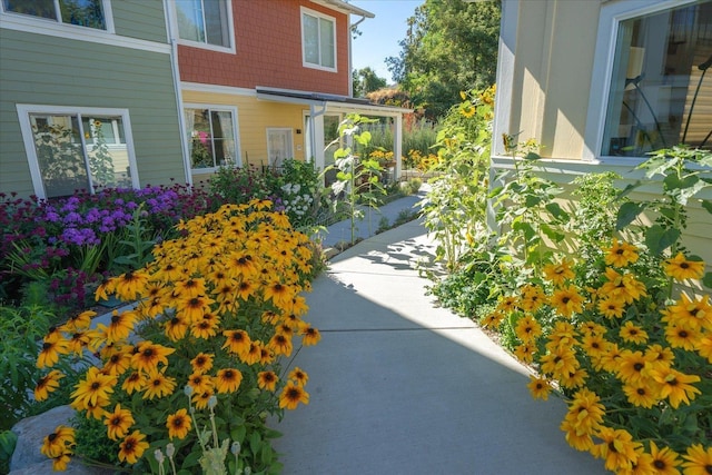 731 S Garfield St Unit 32, Spokane, WA 99202 - photo 23