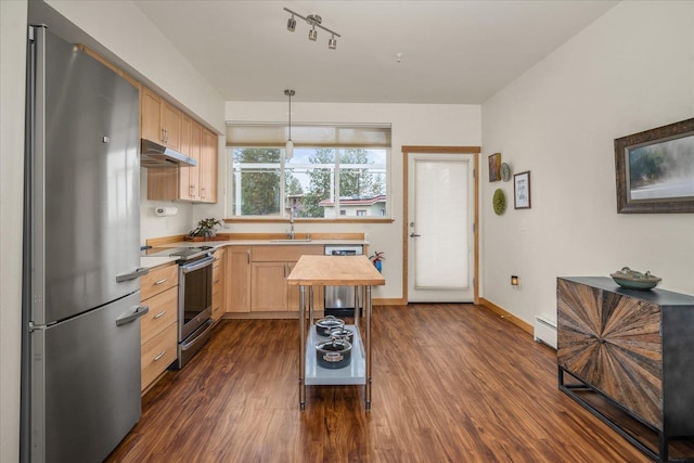 kitchen with dark hardwood / wood-style flooring, sink, light brown cabinets, and appliances with stainless steel finishes