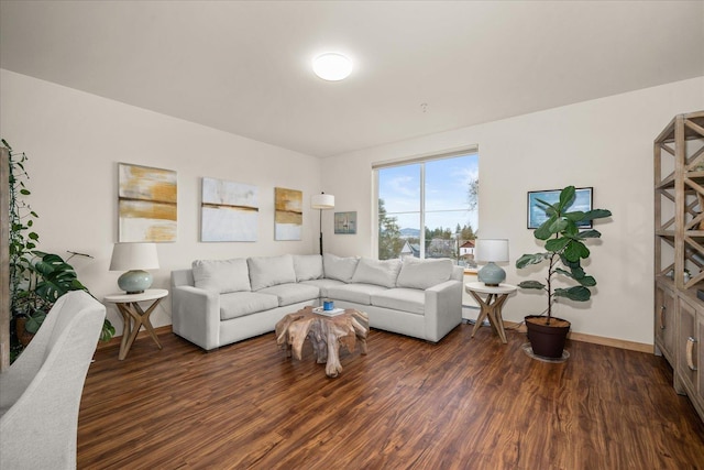 living room featuring dark wood-type flooring