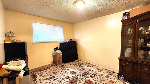 miscellaneous room with light colored carpet and a textured ceiling