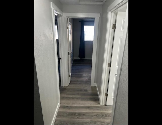 hall featuring dark hardwood / wood-style floors