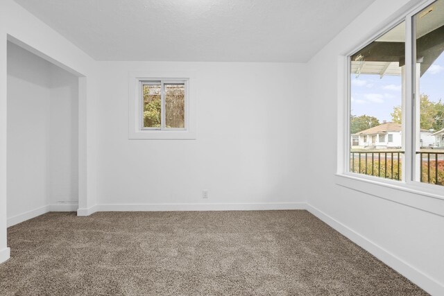 empty room featuring carpet