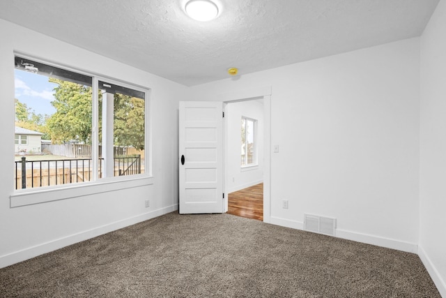 carpeted spare room featuring a wealth of natural light and a textured ceiling