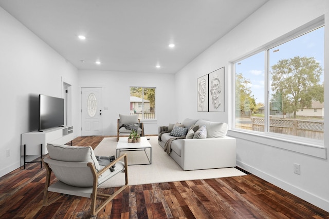 living room with wood-type flooring