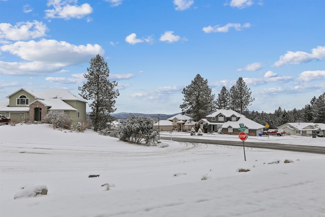 view of yard covered in snow