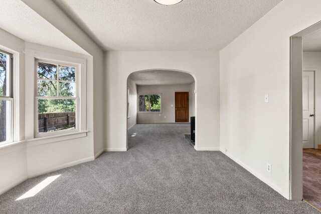 empty room with a healthy amount of sunlight, carpet, and a textured ceiling