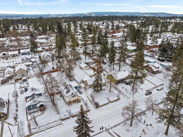 snowy aerial view with a mountain view