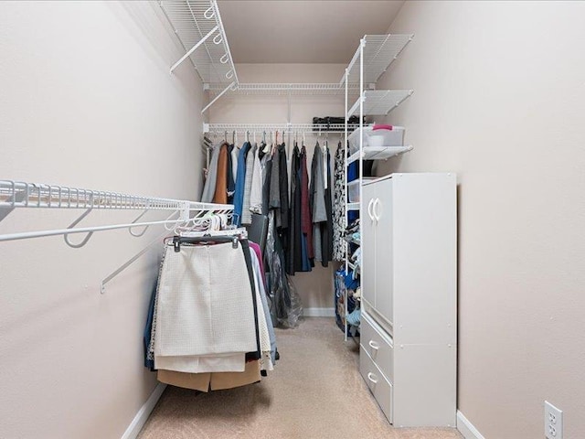 854 S Shelley Lake Ln, Spokane Valley, WA 99037 - view of walk in closet