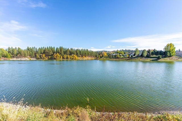 854 S Shelley Lake Ln, Spokane Valley, WA 99037 - view of water feature