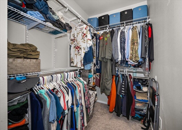 walk in closet with carpet flooring