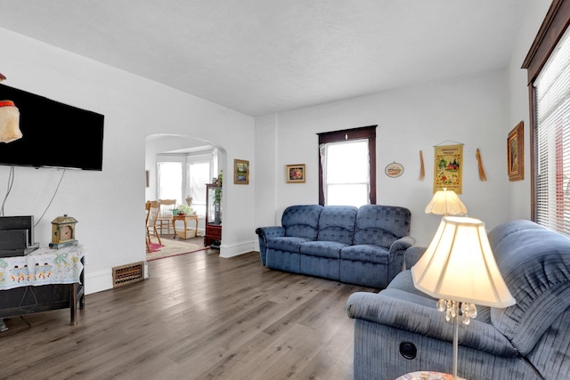 living room with wood-type flooring