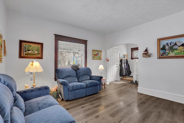 living room featuring wood-type flooring and a textured ceiling