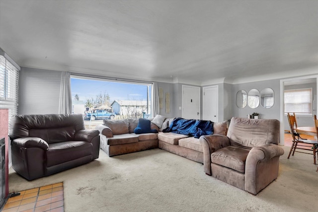 living room with carpet and a healthy amount of sunlight