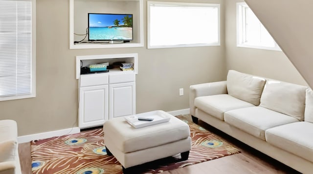 living room featuring hardwood / wood-style floors