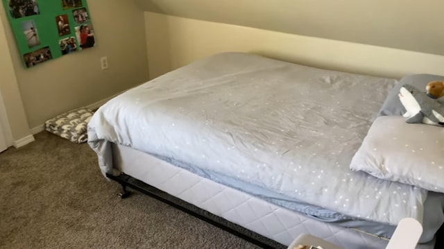 bedroom with carpet floors