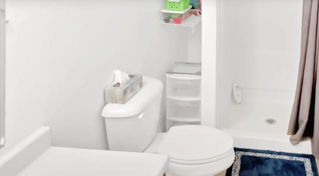 bathroom with toilet and a shower with shower curtain