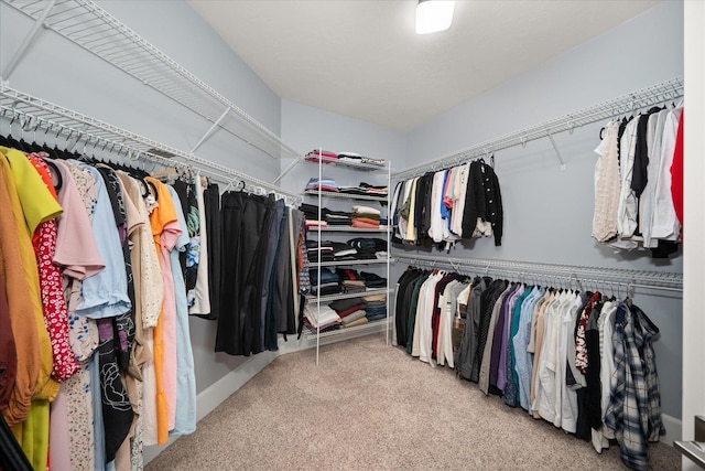 walk in closet featuring carpet flooring