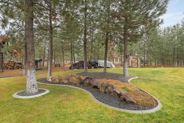 view of yard with a shed