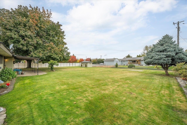 view of yard featuring a patio area and a storage shed