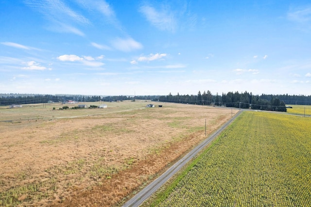 5815 W Mule Deer Ln, Deer Park, WA 99006 - photo 9