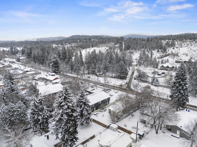 view of snowy aerial view