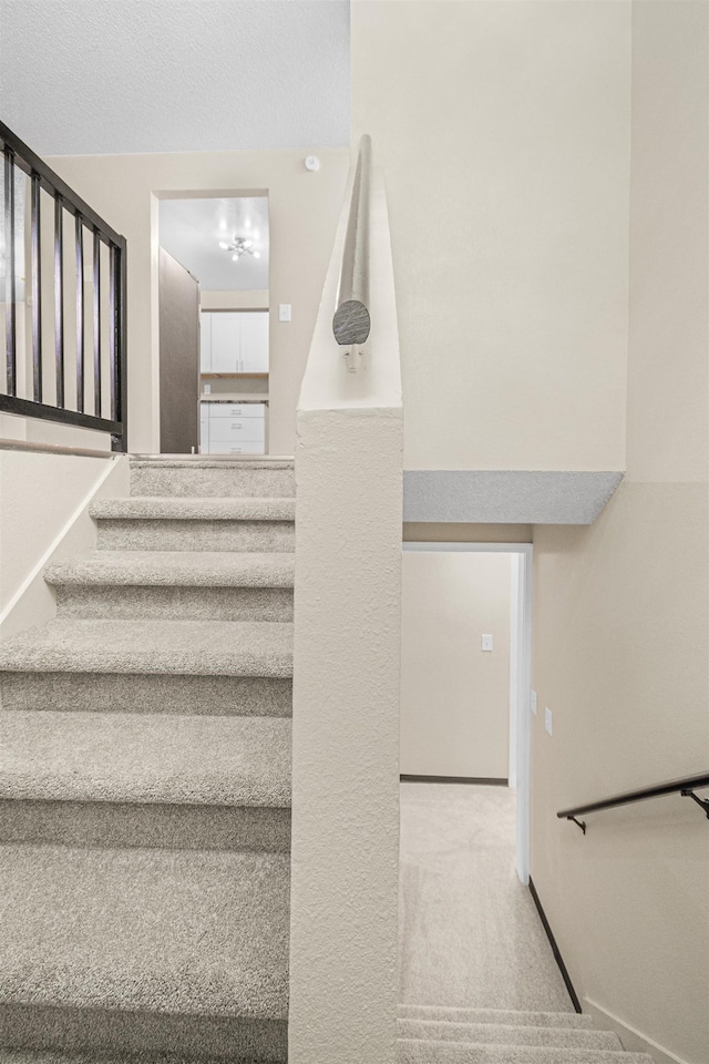 staircase with carpet