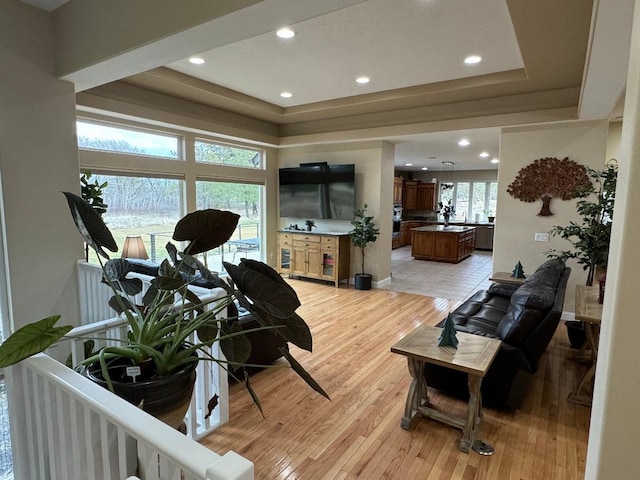 living room featuring a raised ceiling and light hardwood / wood-style flooring