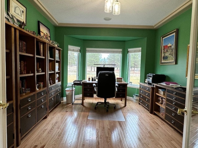 office space with ornamental molding, plenty of natural light, light hardwood / wood-style floors, and a textured ceiling