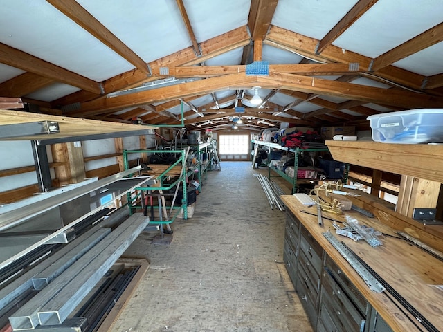 miscellaneous room featuring lofted ceiling