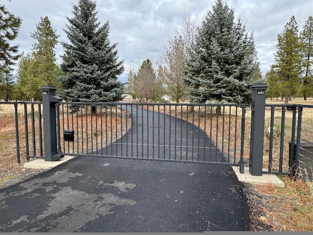 6919 E Spangle-Waverly Rd, Spangle, WA 99031 - view of gate