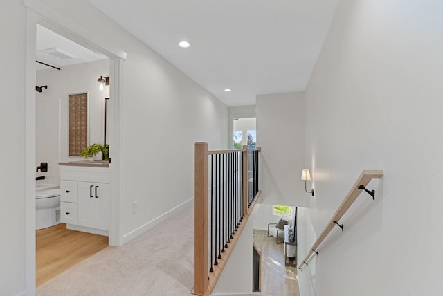 staircase featuring carpet floors