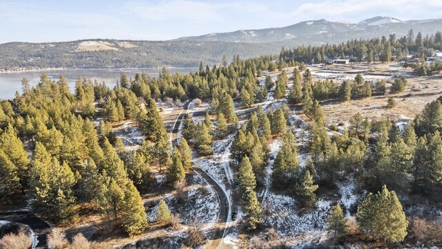 1951 S Molter Rd, Liberty Lake, WA 99019 - photo 14