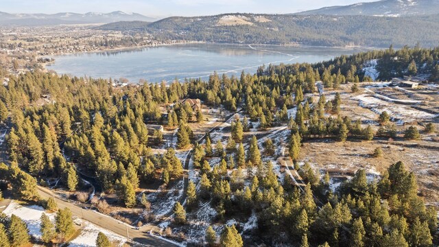 1951 S Molter Rd, Liberty Lake, WA 99019 - photo 5