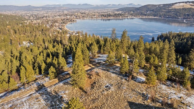 1951 S Molter Rd, Liberty Lake, WA 99019 - photo 6