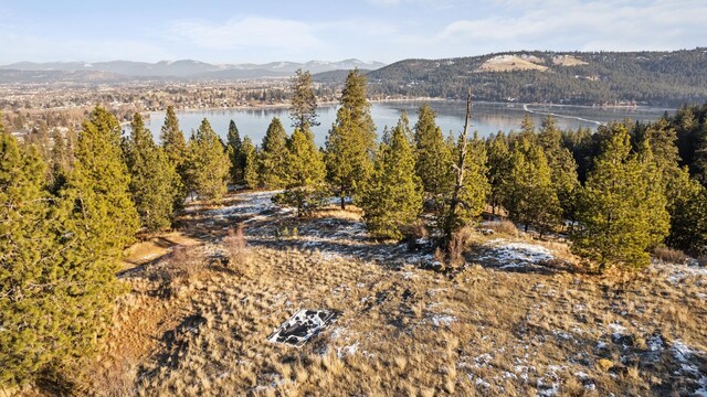 1951 S Molter Rd, Liberty Lake, WA 99019 - photo 9