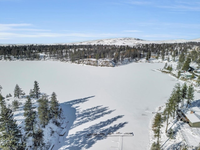 snowy aerial view with a mountain view