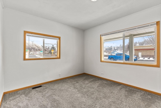 carpeted spare room with a wealth of natural light