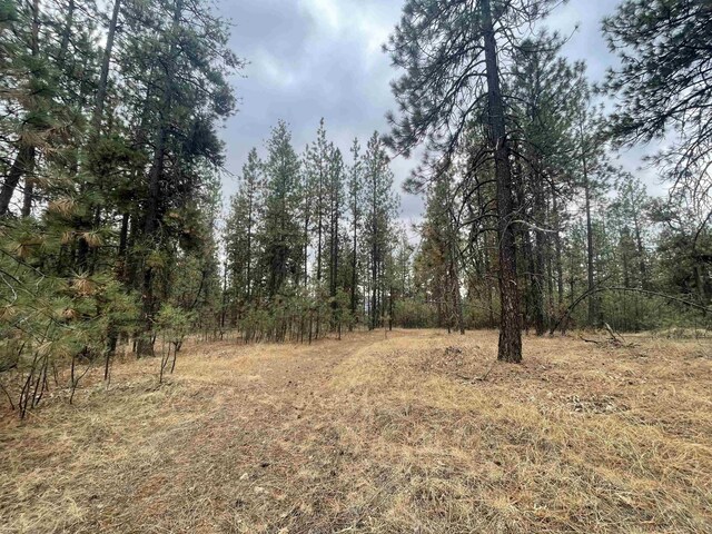 NKA Rocky Top Way, Deer Park, WA 99006 - photo 1